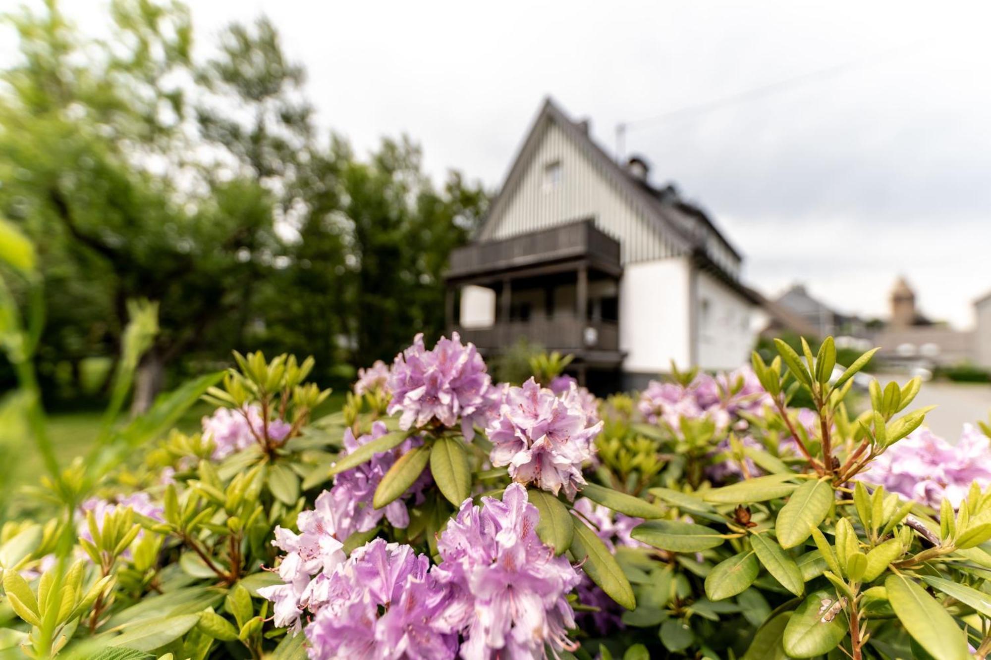 Ferienwohnung Haus An Der Lenne Lennestadt Ngoại thất bức ảnh